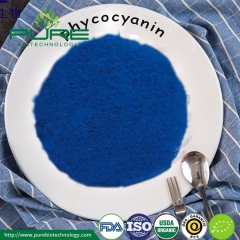 Organic Phycocyanin Powder E25