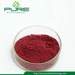 Cranberry Fruit Extract /1%-40% Proanthocyanidins
