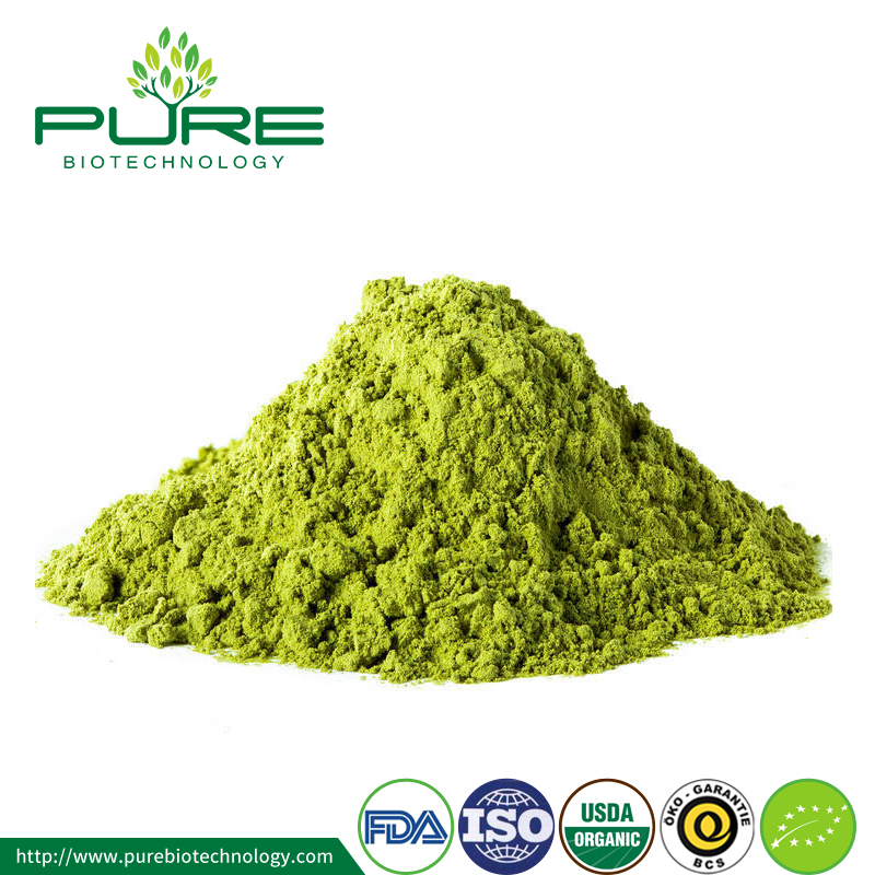 Application of Green Tea Extract in Food Feild