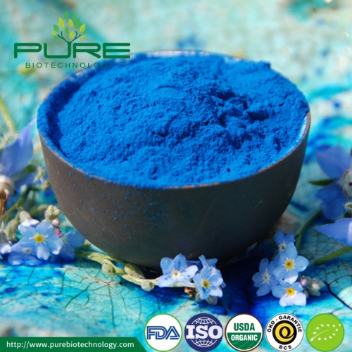 Blue Spirulina Extract Powder (Phycocyanin E6)