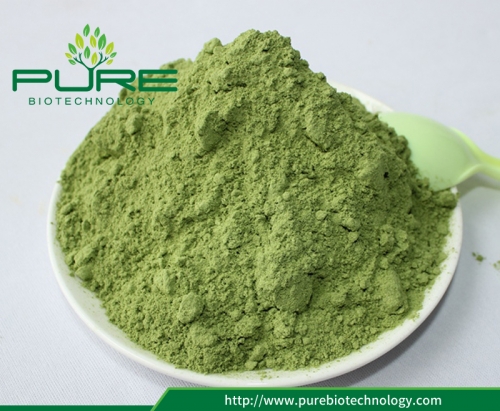 Certified Organic Kale Powder