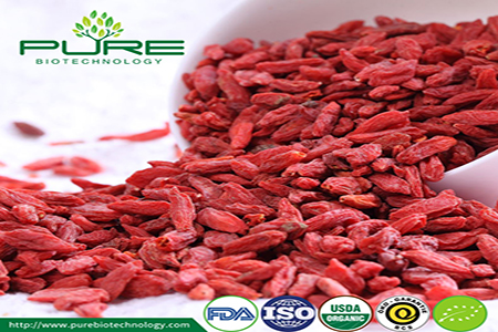NOP Organic Goji Berries Are Available