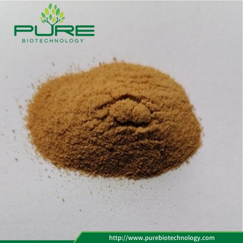 Do You Know the Strong Function of Monk Fruit Powder
