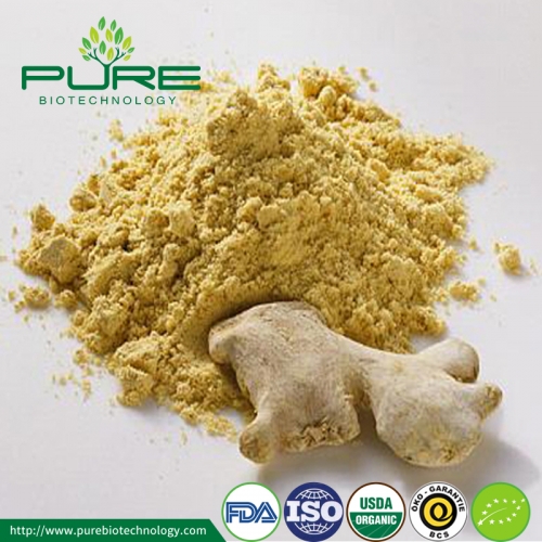 How Much Do You Know About Dehydrated Ginger Powder