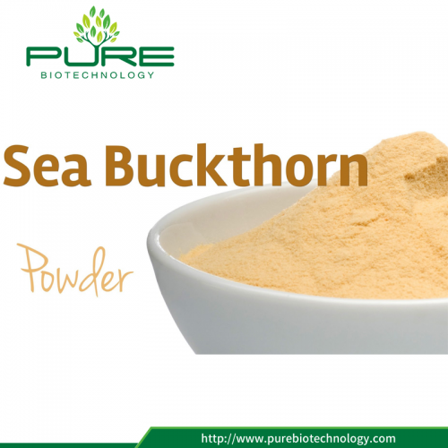 Please Eat Sea Buckthorn Powder Every Day