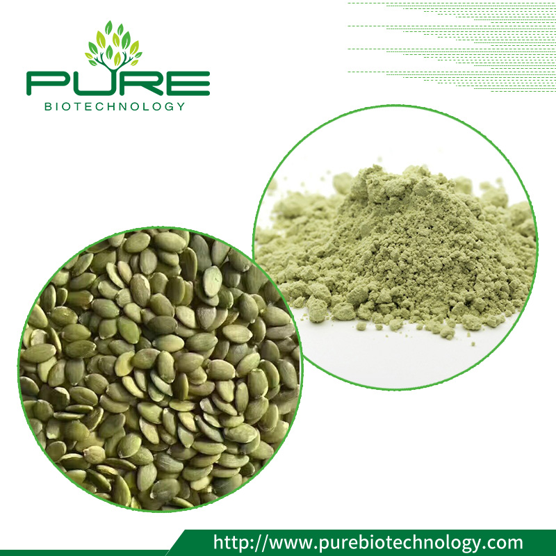 Efficacy of Pumpkin Seeds Protein Powder