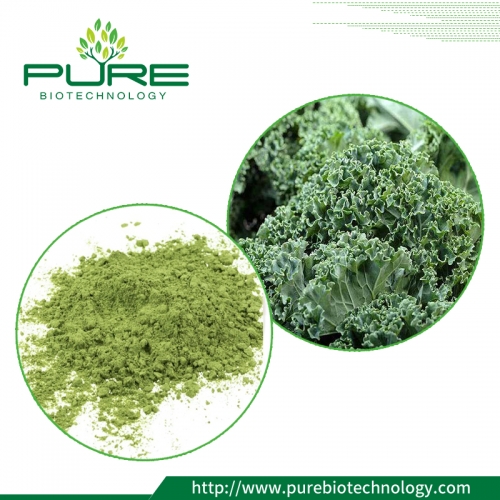 Benefit of Kale Powder