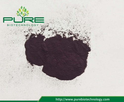 Efficacy and Function of Acai Berry Powder